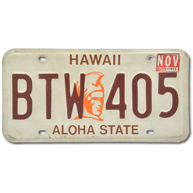 Americká SPZ Hawaii Warrior BTW 405