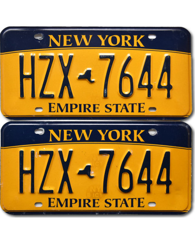 Americká ŠPZ New York HZX 7644 pár
