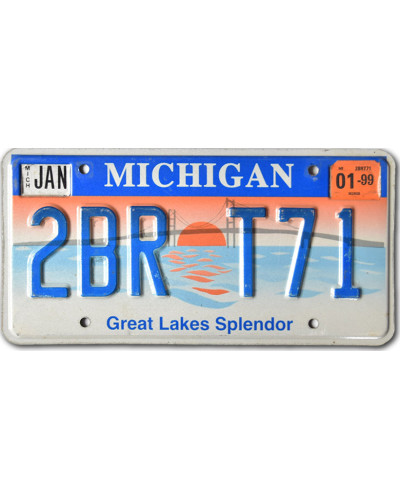 Americká ŠPZ Michigan Splendor 2BR T71