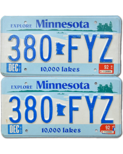 Americká ŠPZ Minnesota Lakes 380-FYZ pár